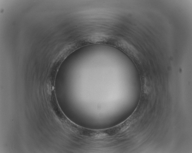 X0000070880210200606231351