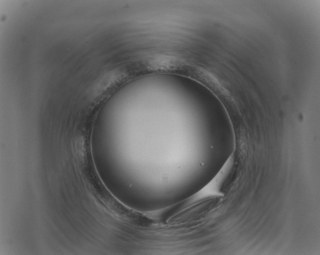 X0000070880211200606231351