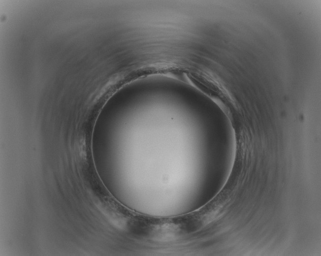 X0000070880212200606231351