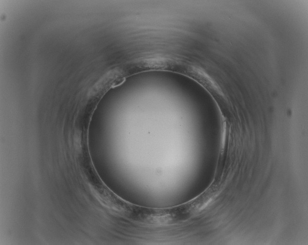 X0000070880213200606231351