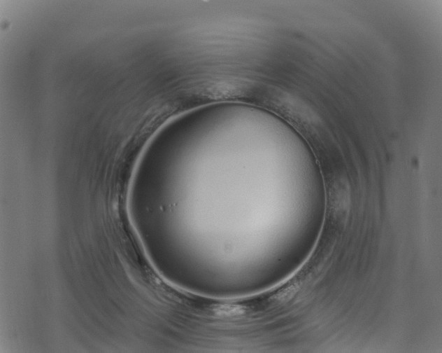 X0000070880214200606231351