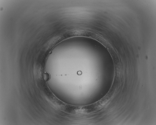 X0000070880216200606231351