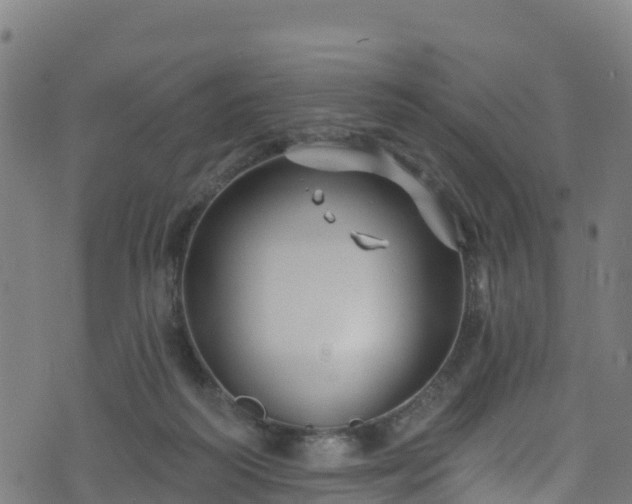 X0000070880218200606231351