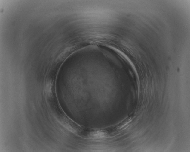 X0000070880219200606231351