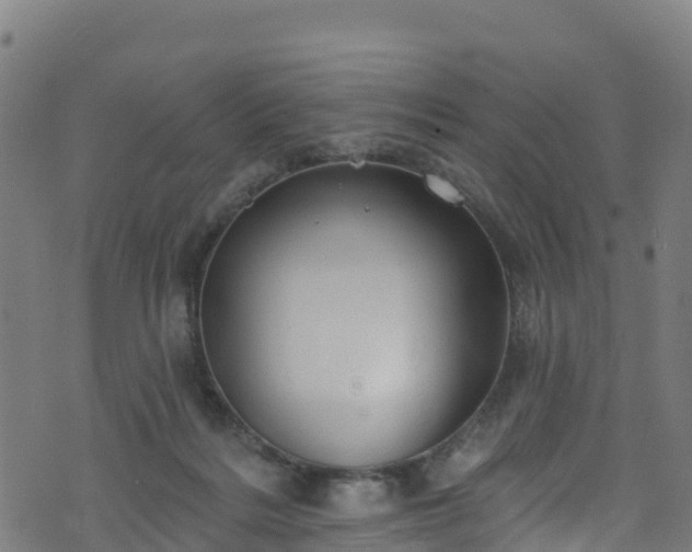 X0000070880220200606231351