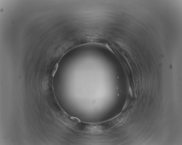 X0000070880221200606231351