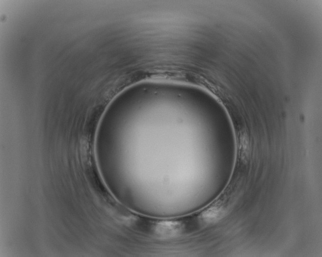 X0000070880222200606231351