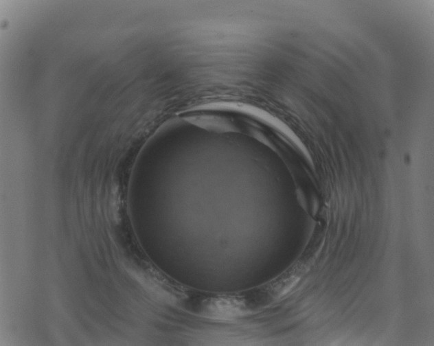 X0000070880223200606231351