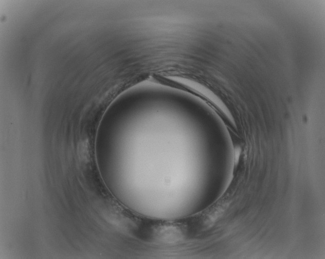 X0000070880224200606231351