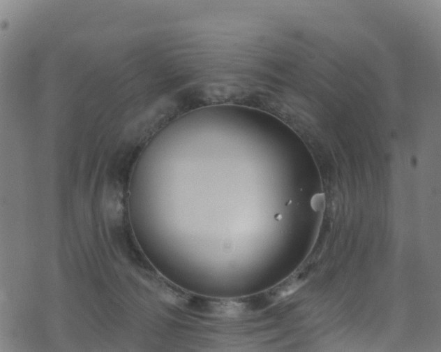 X0000070880226200606231351