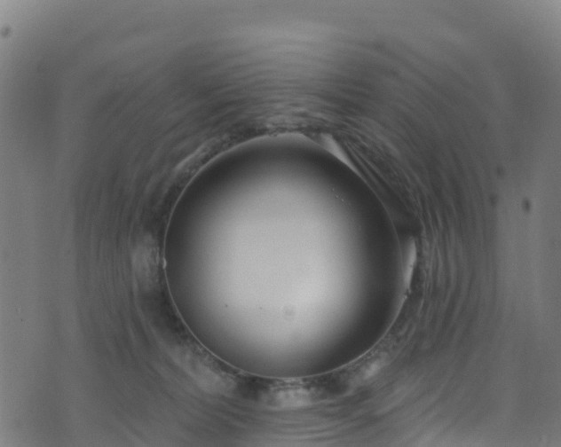 X0000070880228200606231351