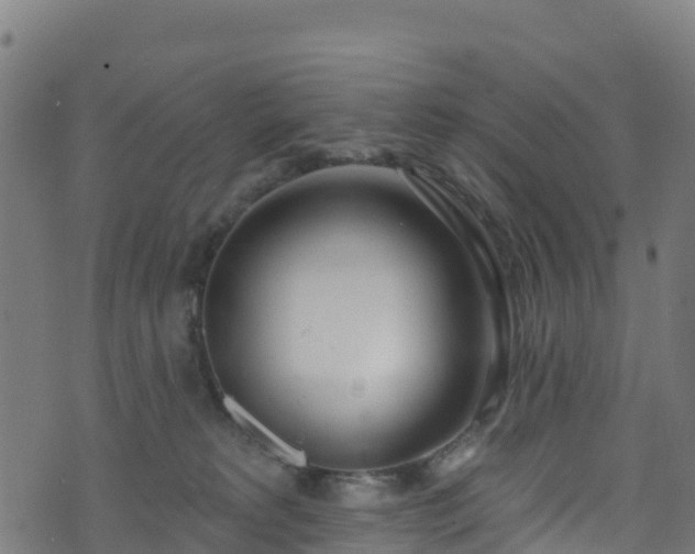 X0000070880229200606231351