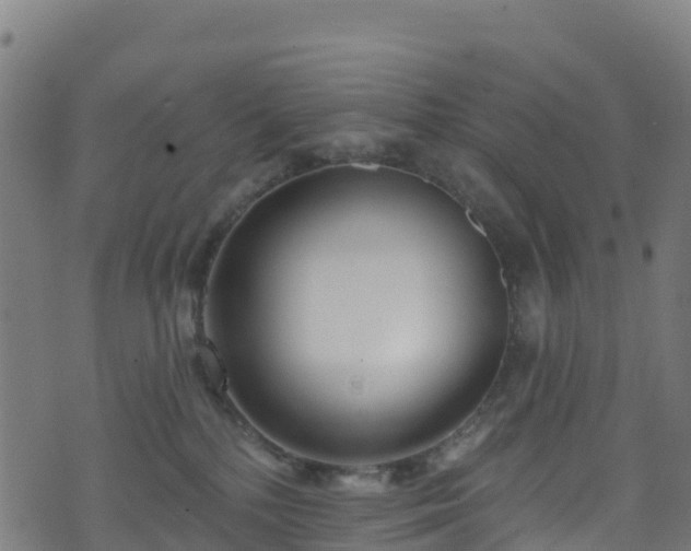 X0000070880232200606231350