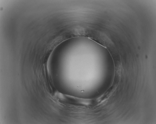 X0000070880233200606231350