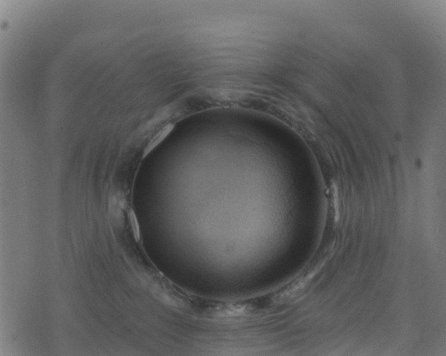 X0000070880235200606231350