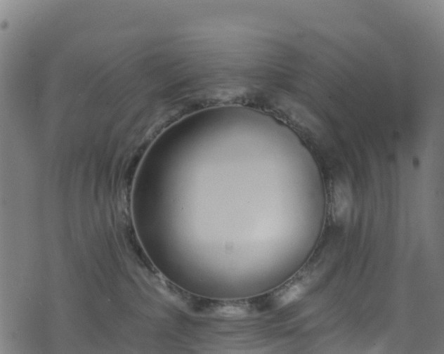 X0000070880236200606231350