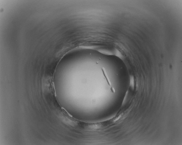 X0000070880237200606231350