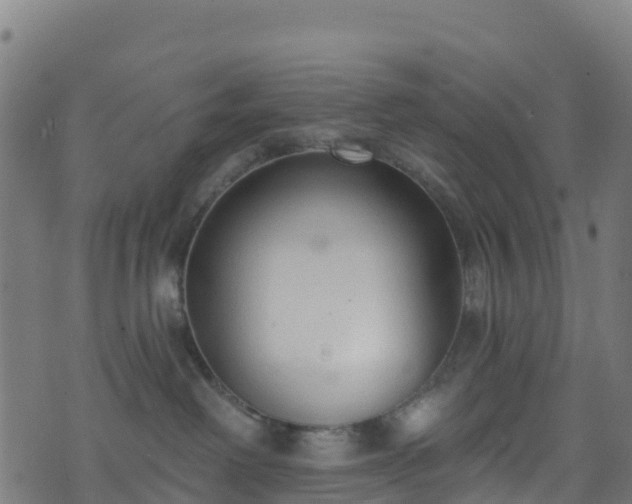 X0000070880238200606231350