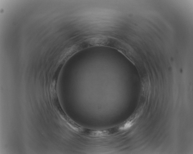 X0000070880239200606231350