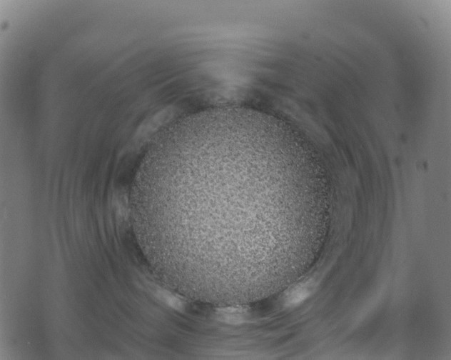 X0000070880240200606231350