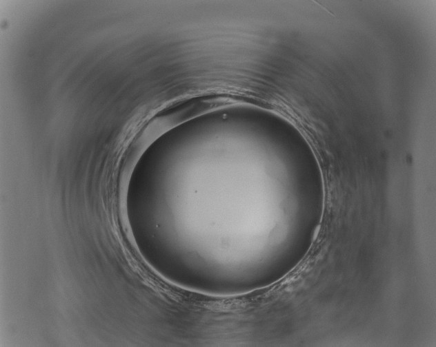 X0000070880241200606231350