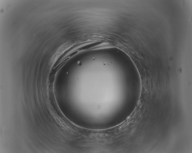 X0000070880242200606231350