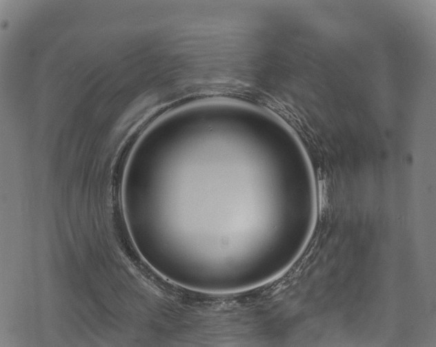 X0000070880243200606231350