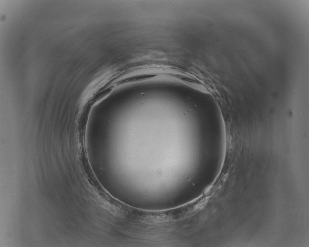 X0000070880245200606231350