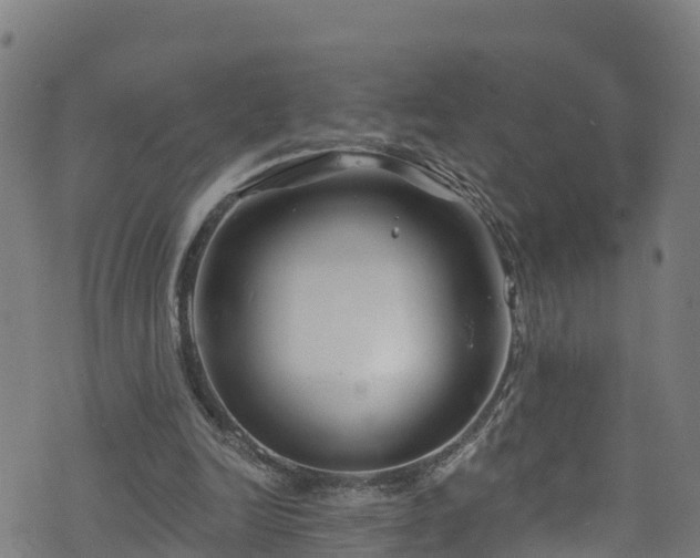 X0000070880246200606231350