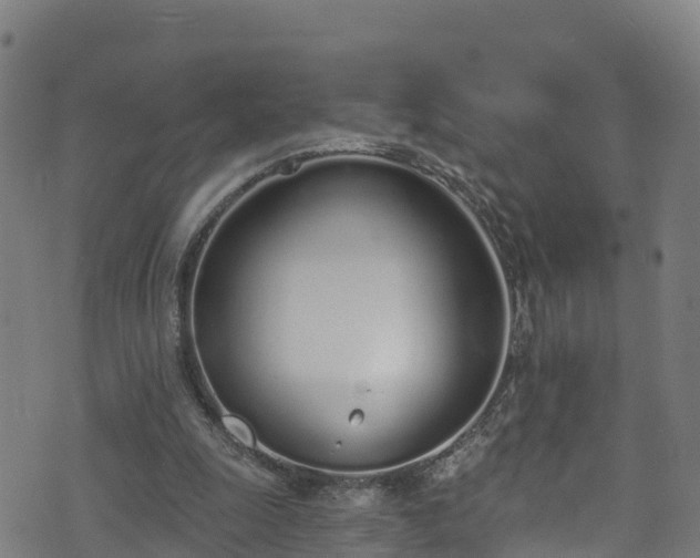 X0000070880247200606231350