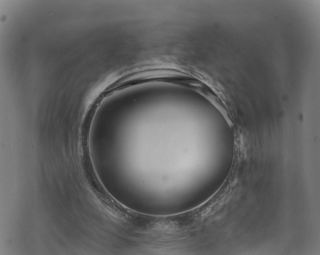 X0000070880248200606231350