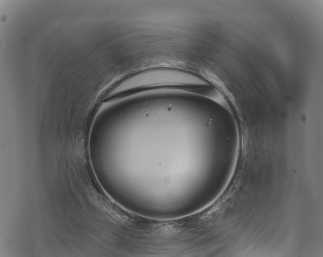 X0000070880249200606231350