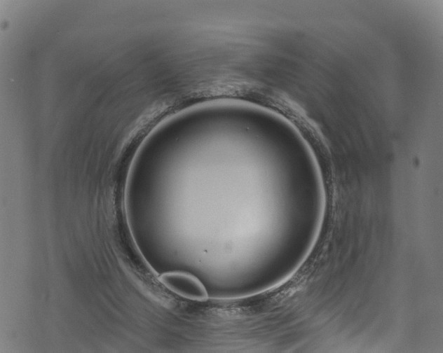 X0000070880250200606231350