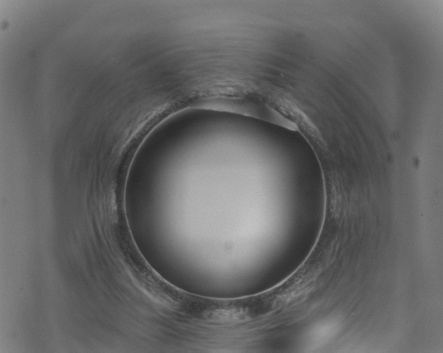 X0000070880251200606231350