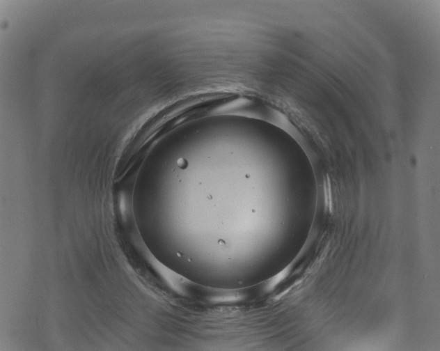 X0000070880252200606231350