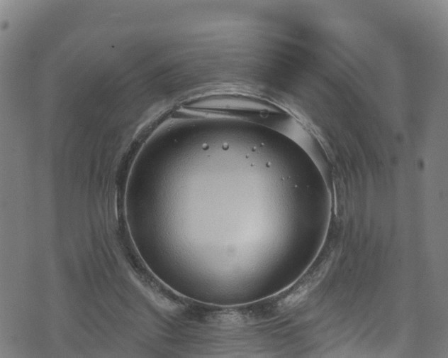 X0000070880253200606231350