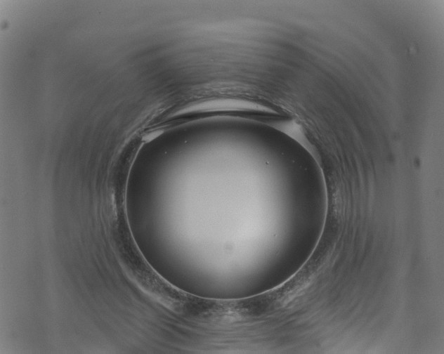 X0000070880254200606231350