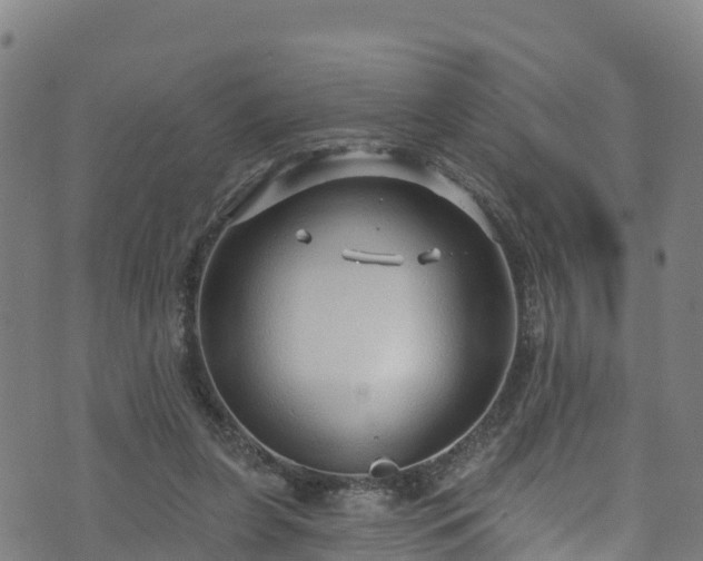 X0000070880255200606231350