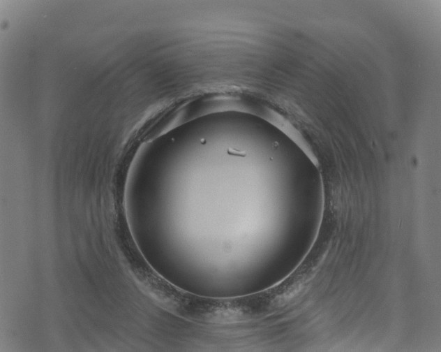 X0000070880256200606231350