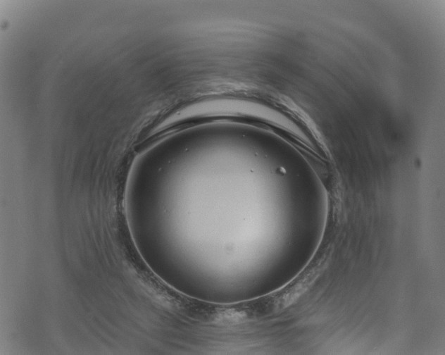 X0000070880257200606231350