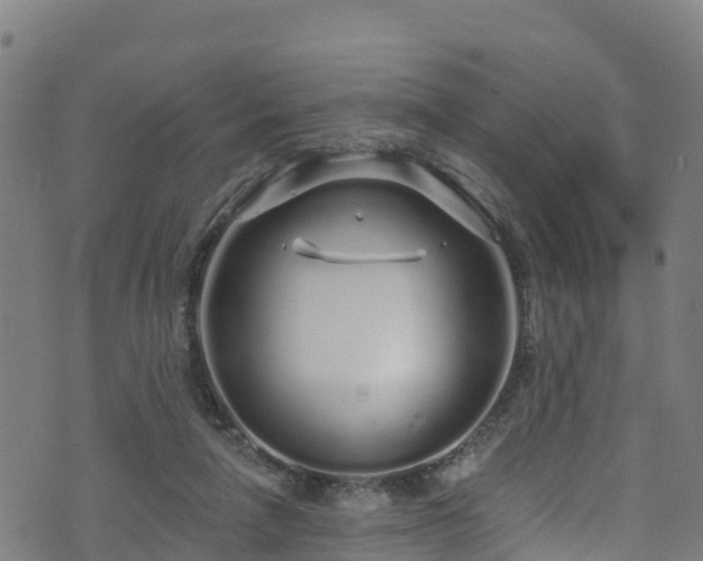 X0000070880258200606231350