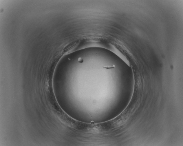 X0000070880259200606231350