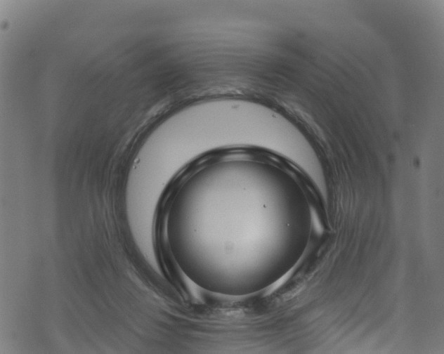 X0000070880260200606231350