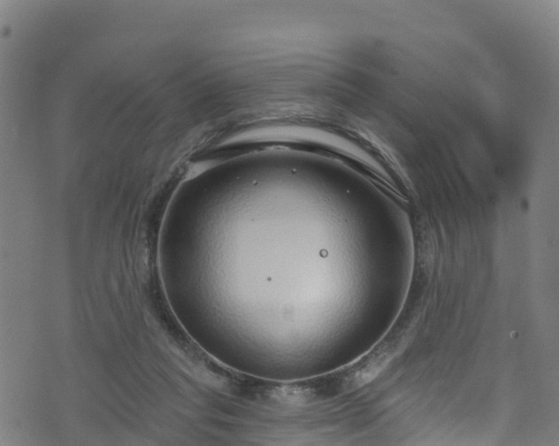 X0000070880261200606231350