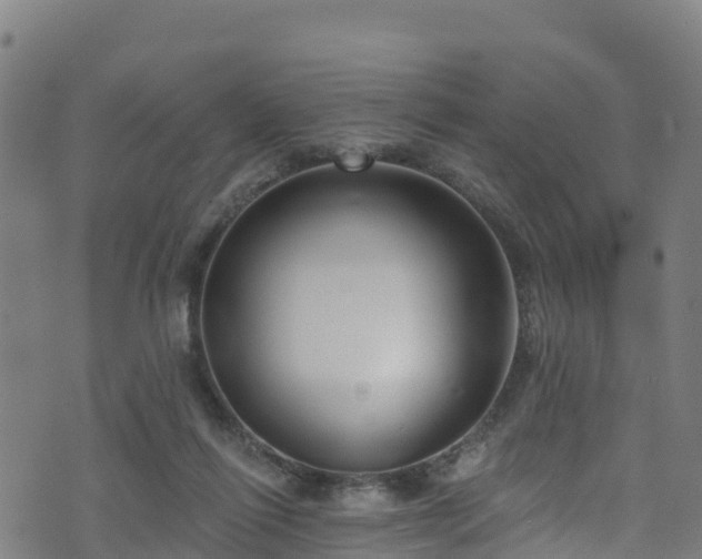 X0000070880262200606231350