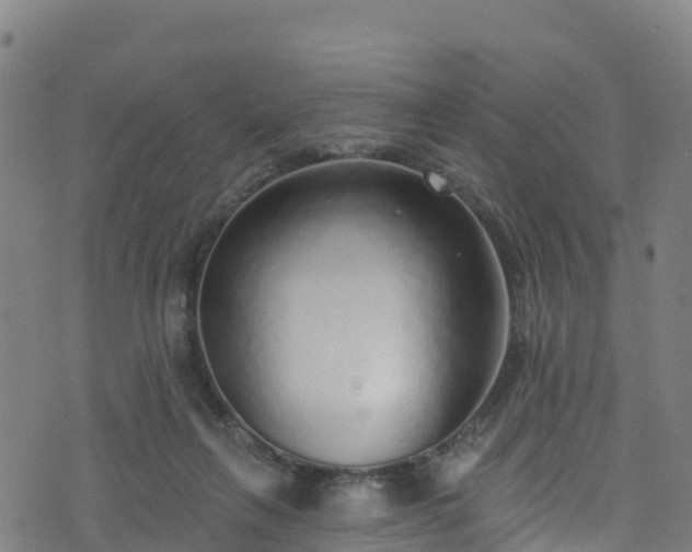 X0000070880263200606231350