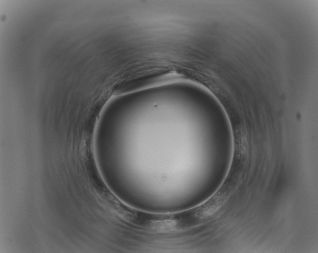 X0000070880266200606231350