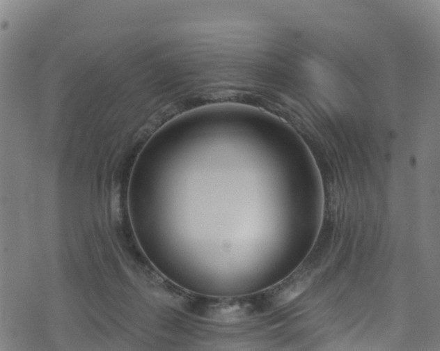 X0000070880267200606231350