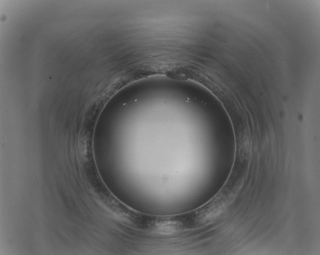 X0000070880268200606231350