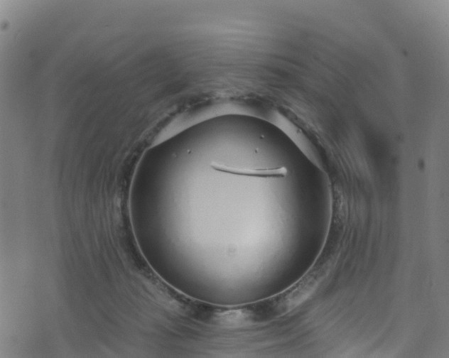 X0000070880269200606231350